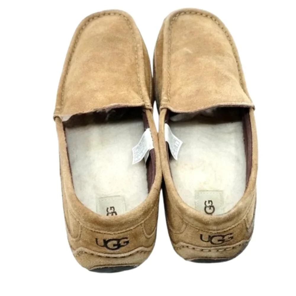 UGG~Ascot Slipper~MEN